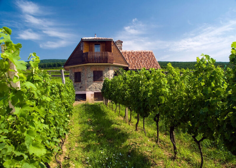 Lokacija - Sontacchi 