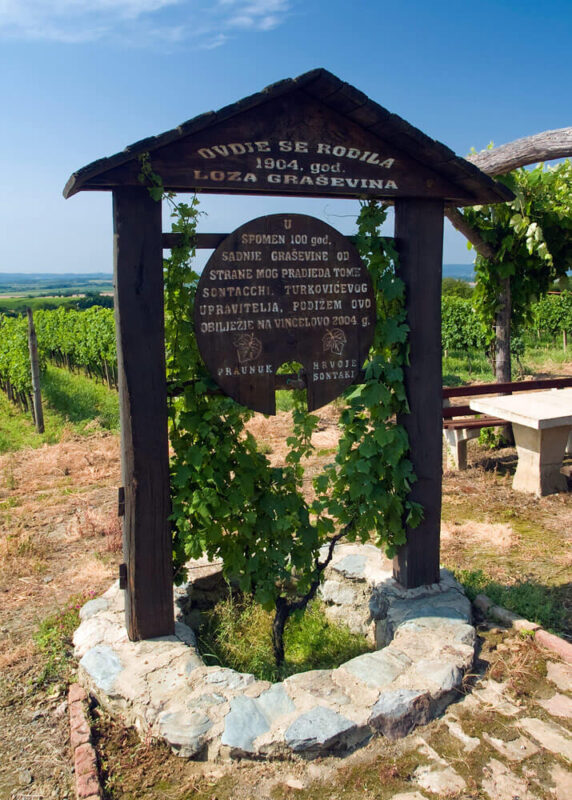 Lokacija - Sontacchi 